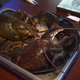 Larry el bogavante americano. Imagen: ABC News
